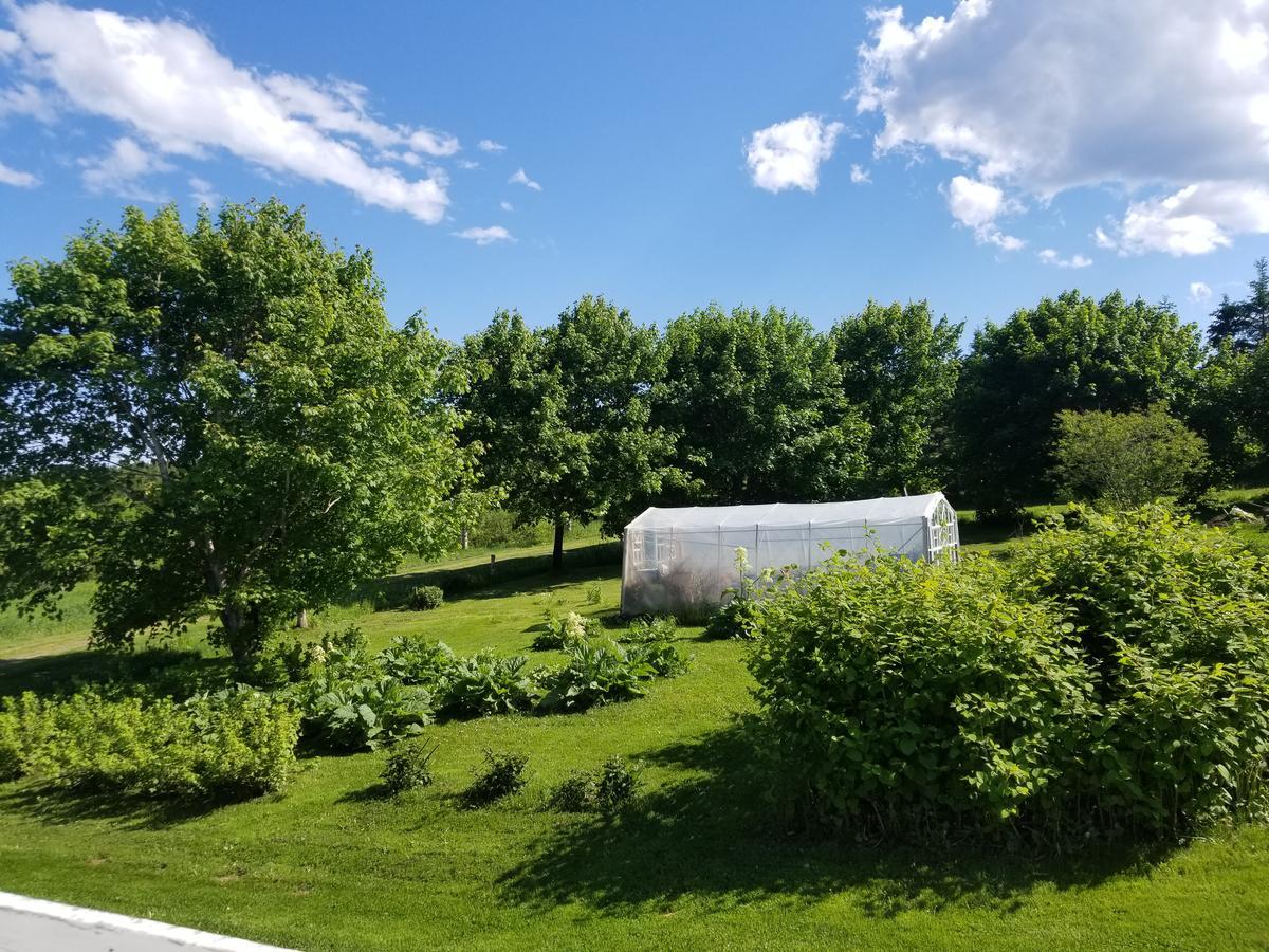 Gite Aux Jardins De L'Anse Percé Exterior foto